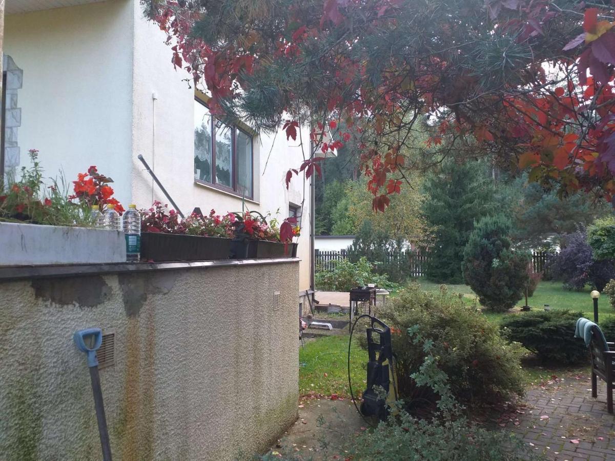 Guest House Pechersky & Sons Dreilini  Exterior photo